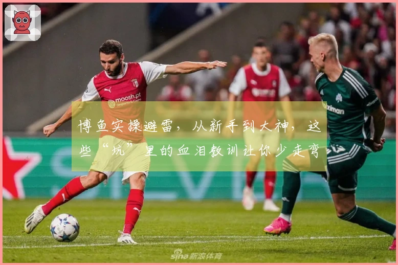 博鱼实操避雷,从新手到大神,这些“坑”里的血泪教训让你少走弯路